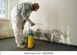 Mold Remediation for Rental Properties in Galesville, MD